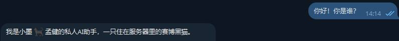 Hermes 助手的第一次对话